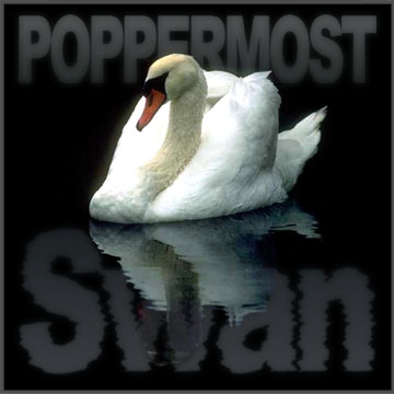 Poppermost "Swan" cover art